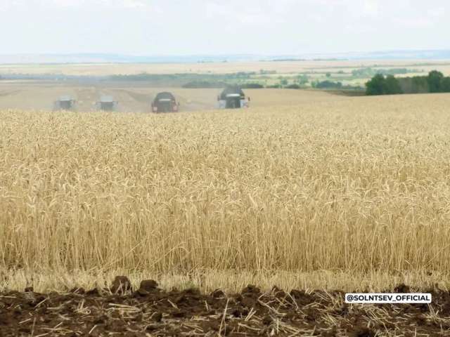  В Оренбуржье аграрии собрали 2 миллиона тонн зерна с полей 
