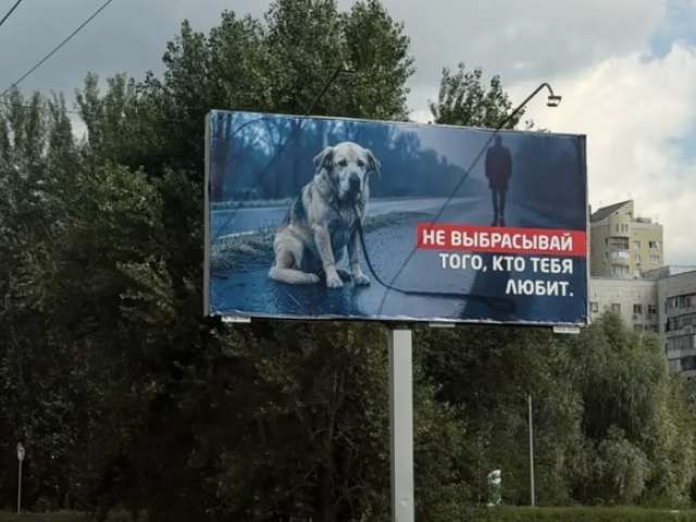 В Оренбурге запустили социальную рекламу об ответственном отношении к животным