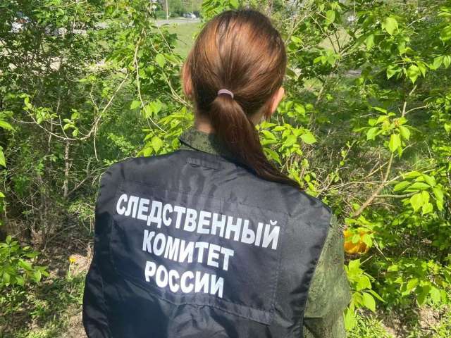 В Бузулукском районе погиб электромонтёр: возбуждено уголовное дело