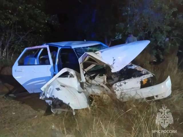 В Домбаровке автомобиль врезался в дерево: спасатели деблокировали пострадавших