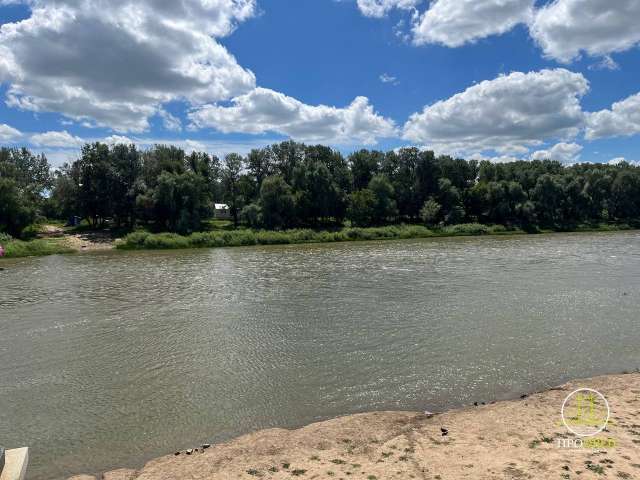 До +37 °C и грозы: какой будет погода в Оренбуржье 8 августа
