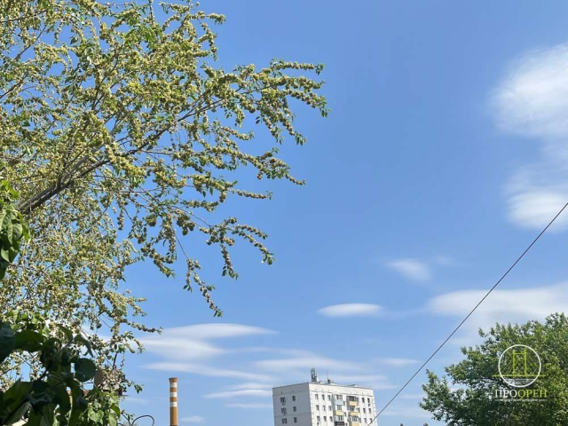 В Оренбуржье утром объявляли опасность атаки БПЛА и ракетную опасность. Звучали сирены