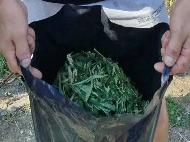 В Бугуруслане у мужчины изъяли более 740 граммов марихуаны