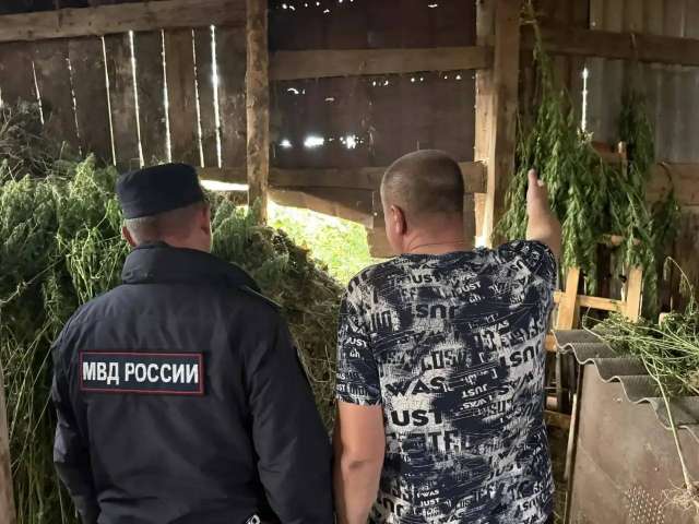Более 10 килограммов конопли изъяли полицейские у жителя Переволоцкого района