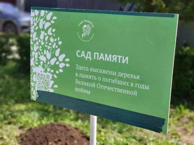 В Оренбуржье высадили более 1,5 млн саженцев в рамках акции «Сад памяти»