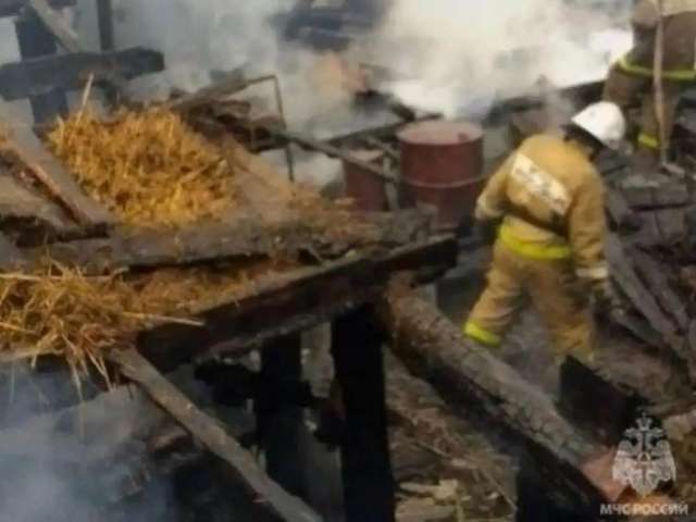 В Оренбуржье при пожаре в хозпостройке погиб ребёнок 