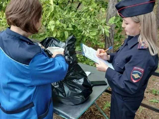 Две косули в багажнике: в Асекеево задержали подозреваемого в незаконной охоте