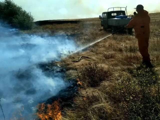 В заповеднике «Оренбургский» рассказали, как пережили пожары