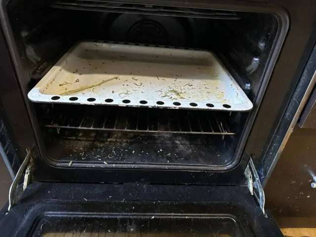 Житель Сакмарского района хранил дома почти 300 граммов конопли