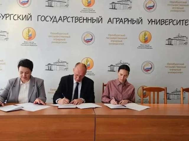 Оренбургские студенты осваивают навыки в сфере госзакупок 