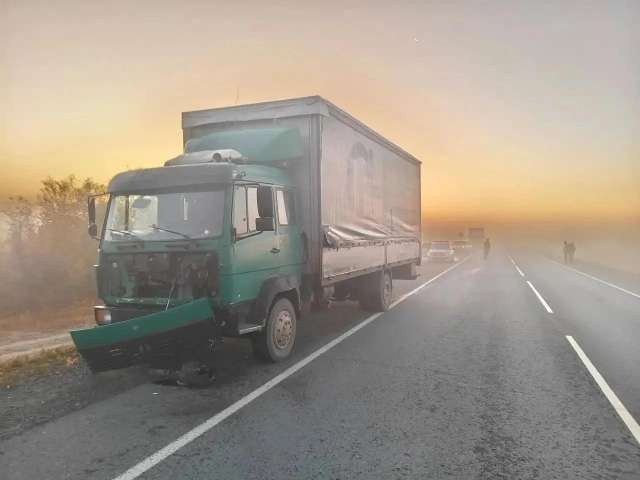 Трагедия на трассе: пешеход погиб под колёсами грузовика в Оренбуржье