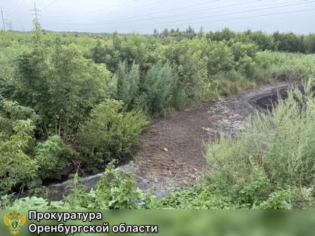 В Бугуруслане с мясоперерабатывающего предприятия взыскано более 14 млн рублей за вред почве