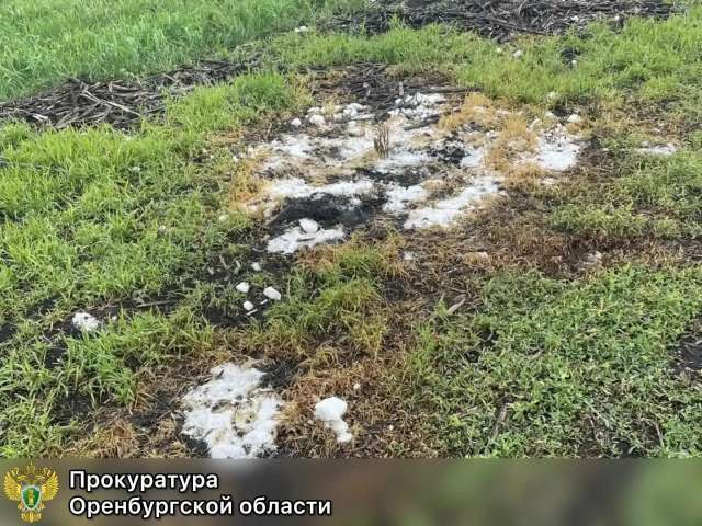 В Северном районе с компании требуют 300 тысяч рублей за загрязнение сельхозземли нефтепродуктами