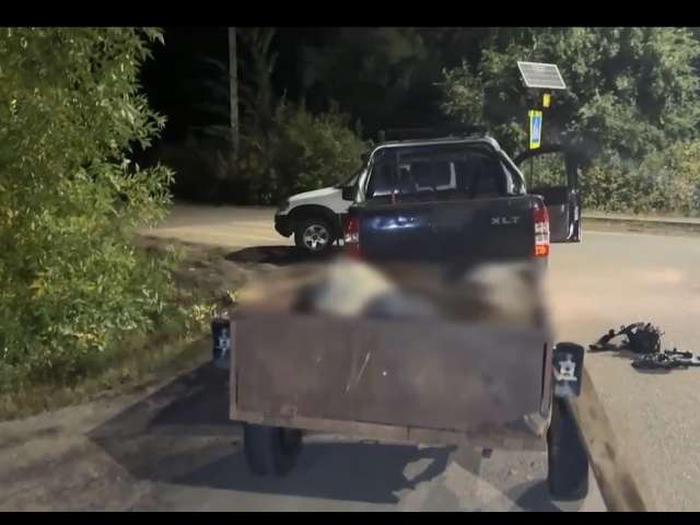Жителя Переволоцкого района задержали с тушей незаконно добытой лосихи