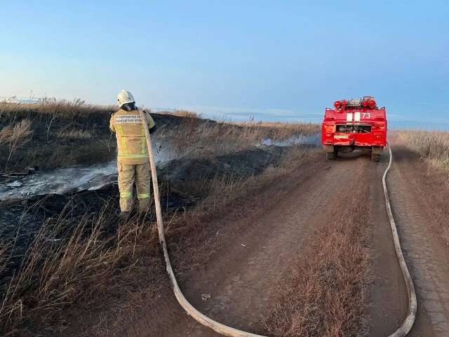 В Сакмарском районе сгорело 500 квадратных метров сухой трав