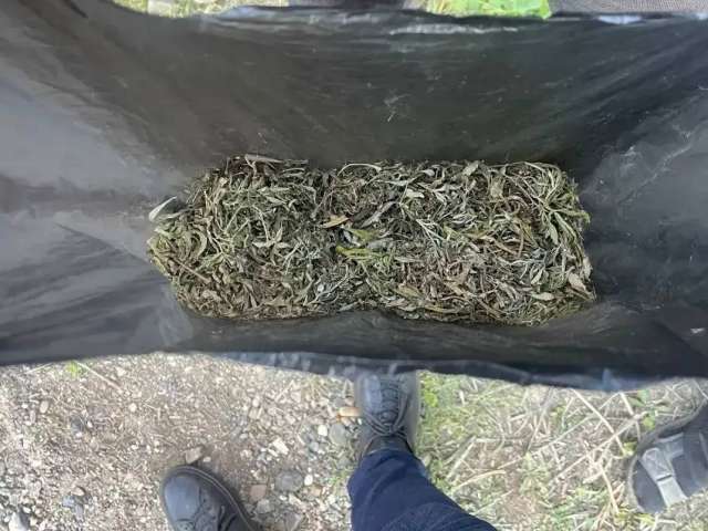 Оренбургские полицейские задержали мужчину с пакетом марихуаны
