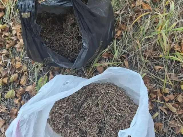 В Оренбургской области полиция пресекла попытку сбыта более килограмма марихуаны