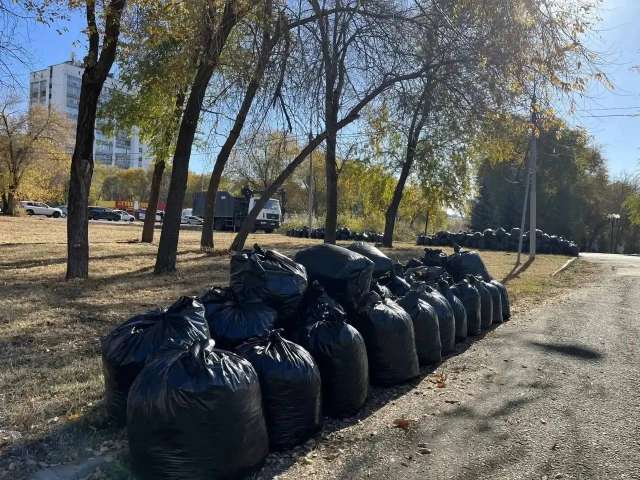 Как прошёл осенний субботник в Оренбурге