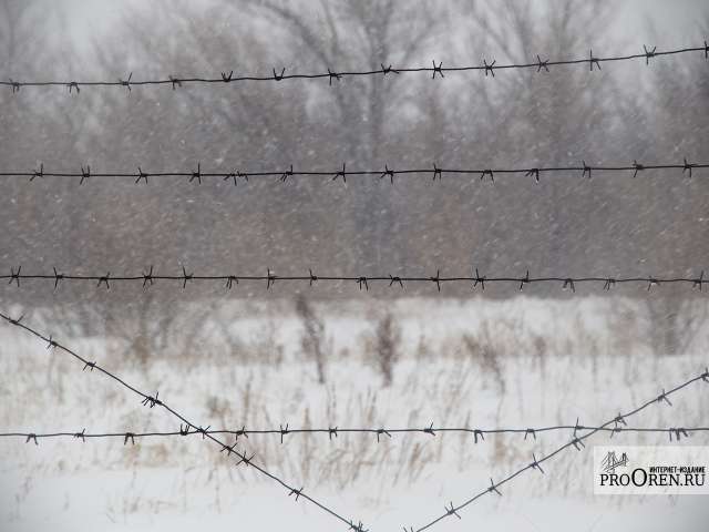 Жительница Саракташского района получила 9 лет колонии за убийство матери