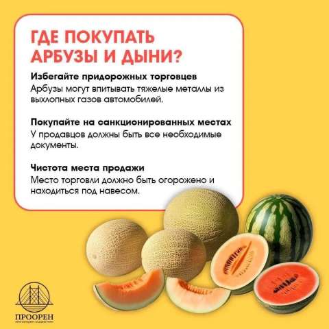 Сладкий август: история арбуза, интересные факты и секреты выбора