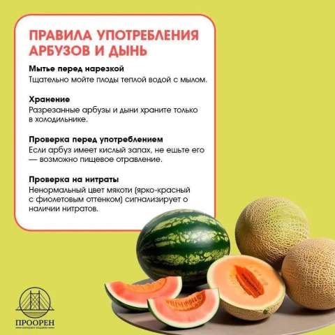 Сладкий август: история арбуза, интересные факты и секреты выбора