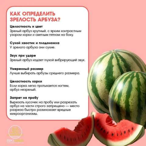 Сладкий август: история арбуза, интересные факты и секреты выбора