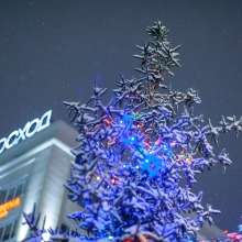 Денис Паслер опубликовал фото преобразившегося предновогоднего Оренбурга