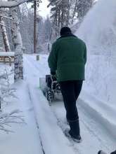 В Бузулукском бору очищают пешеходные дорожки от снега