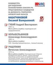 На выборах губернатора Оренбуржья будут представлены кандидаты в Совет Федерации
