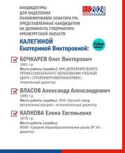 На выборах губернатора Оренбуржья будут представлены кандидаты в Совет Федерации