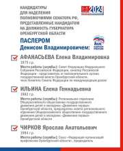 На выборах губернатора Оренбуржья будут представлены кандидаты в Совет Федерации