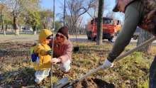В Оренбурге с начала осени высажено более 800 новых деревьев