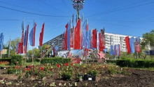 Пеларгонии, петунии и цинерарии: в Оренбурге украшают клумбы