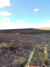 В Переволоцком районе загорелся грузовик с зерном 