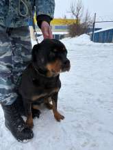 полиция