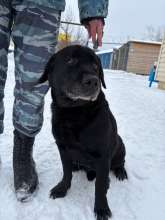 полиция