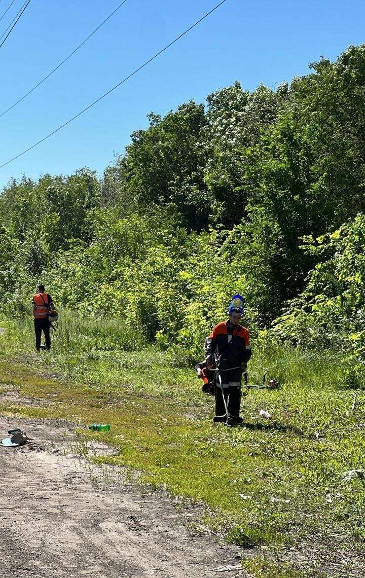 В Оренбурге продолжают бороться с сорняками