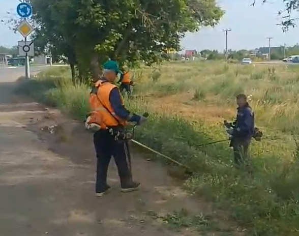 В Оренбурге продолжается покос сорняков и посадка цветов