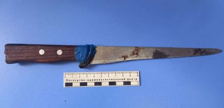 В Первомайском районе задержали рецидивистку, ранившую собутыльника ножом