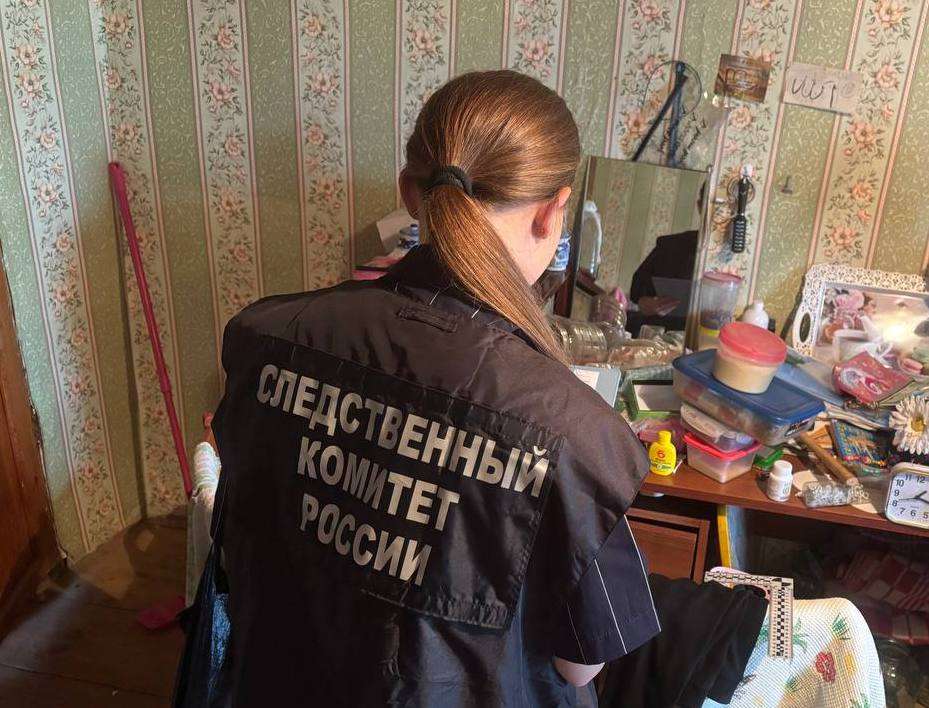 В Саракташском районе арестована женщина, обвиняемая в убийстве матери ломом