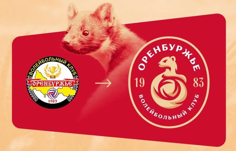 Куница стала новым символом волейбольной команды «Оренбуржье»