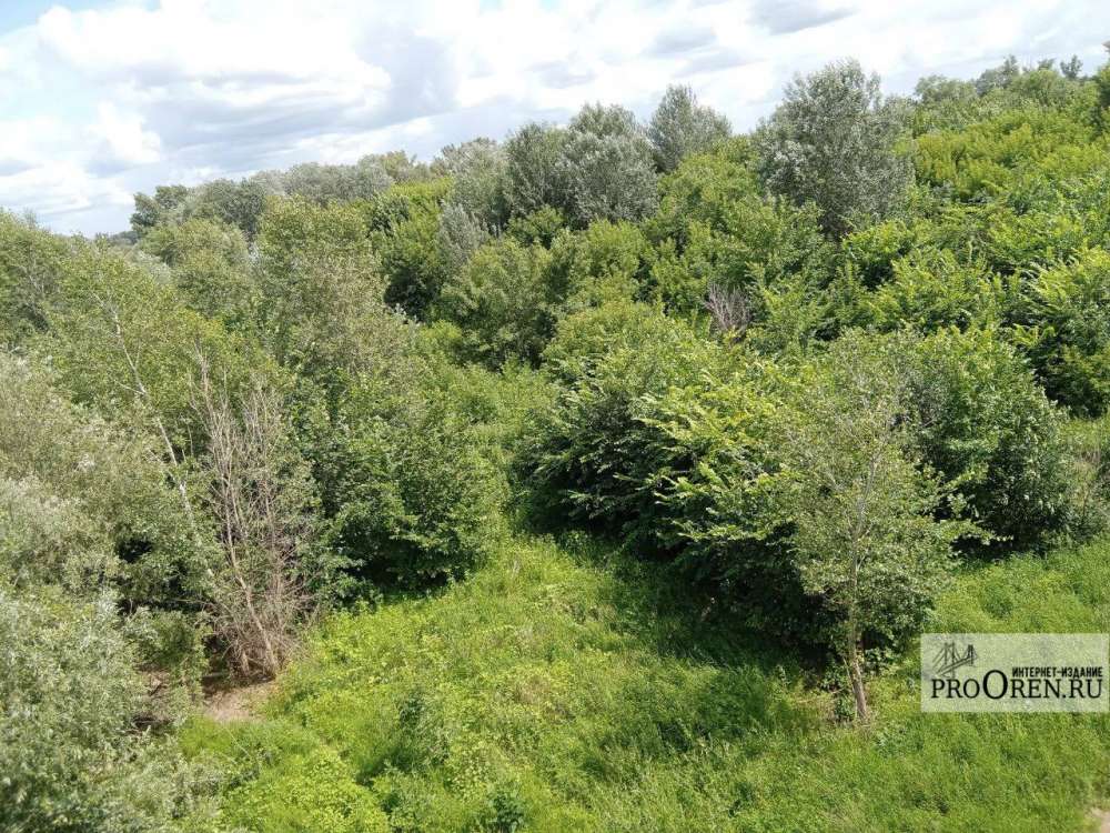 С 23 июля в Оренбуржье начнется прием заявлений на охоту