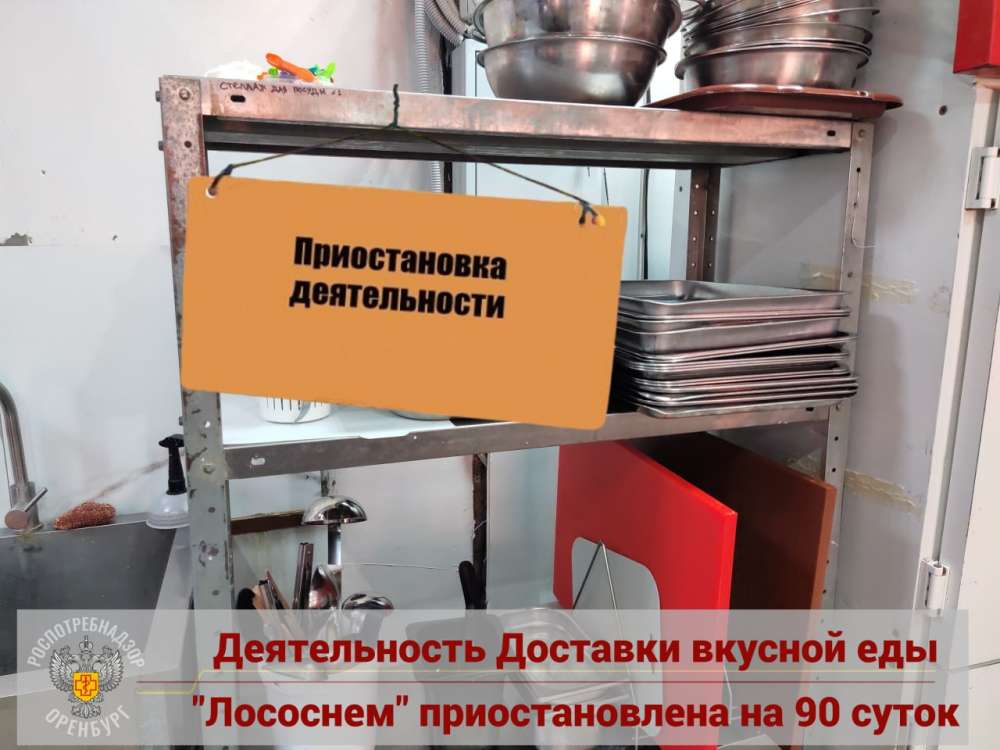 В Оренбурге из-за нарушений закрыли службу доставки «Лососнем»