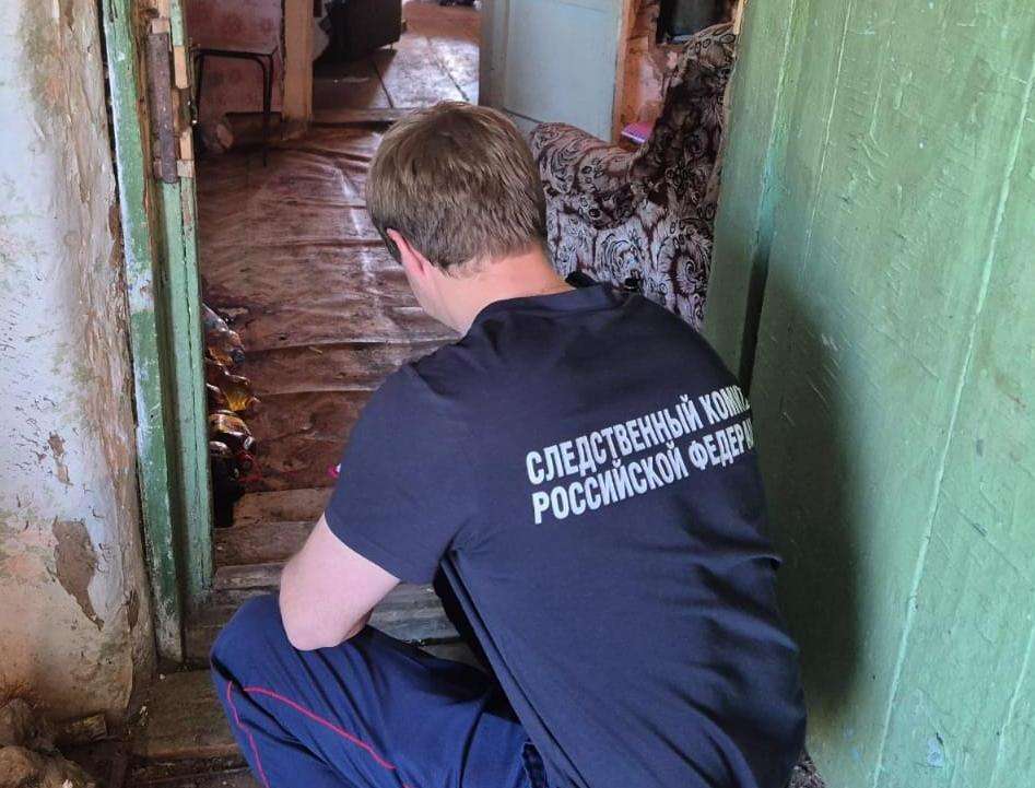 Житель Ташлинского района предстанет перед судом за убийство брата