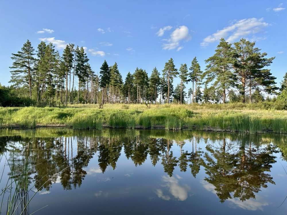 В нацпарке «Бузулукский бор» усилят меры по защите лесов от пожаров