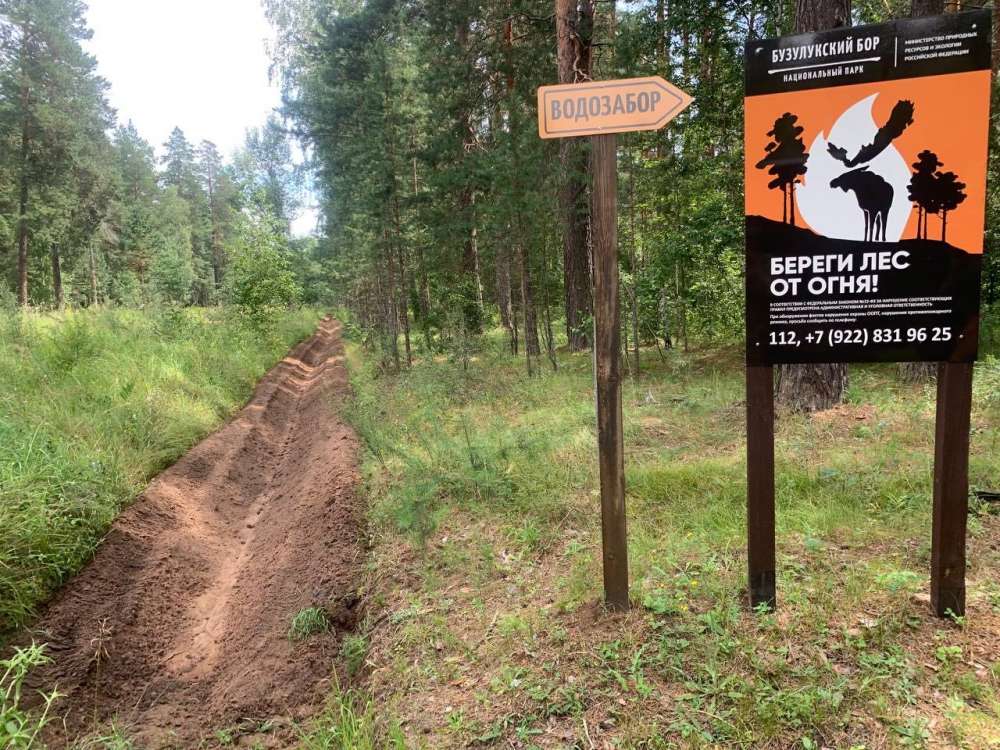 В Бузулукском бору усиливают меры по предотвращению лесных пожаров