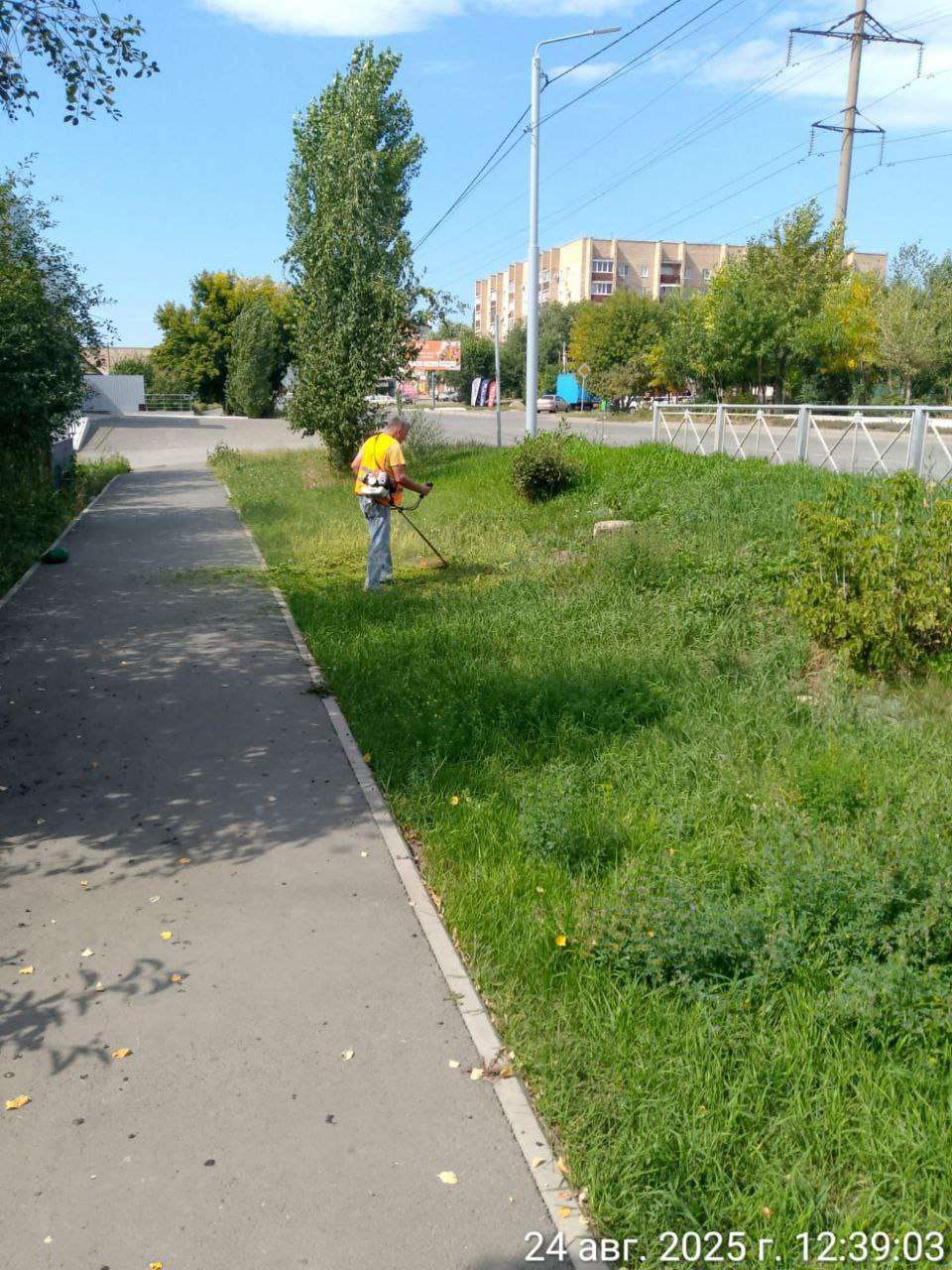 В Оренбурге продолжается борьба с сорняками