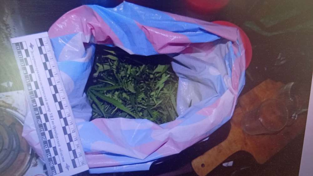Полицейские Домбаровского района изъяли у мужчины 175 граммов марихуаны