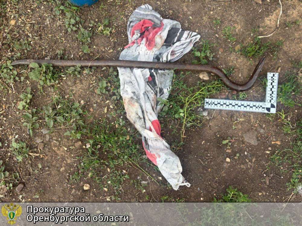 Жительницу Саракташского района будут судить за убийство матери ломом-гвоздодером