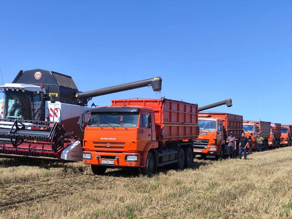 В Оренбуржье за сезон собрали более 3 млн тонн зерна
